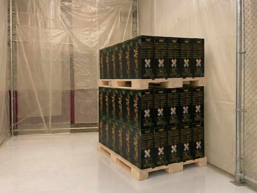 N2O пакет на едро